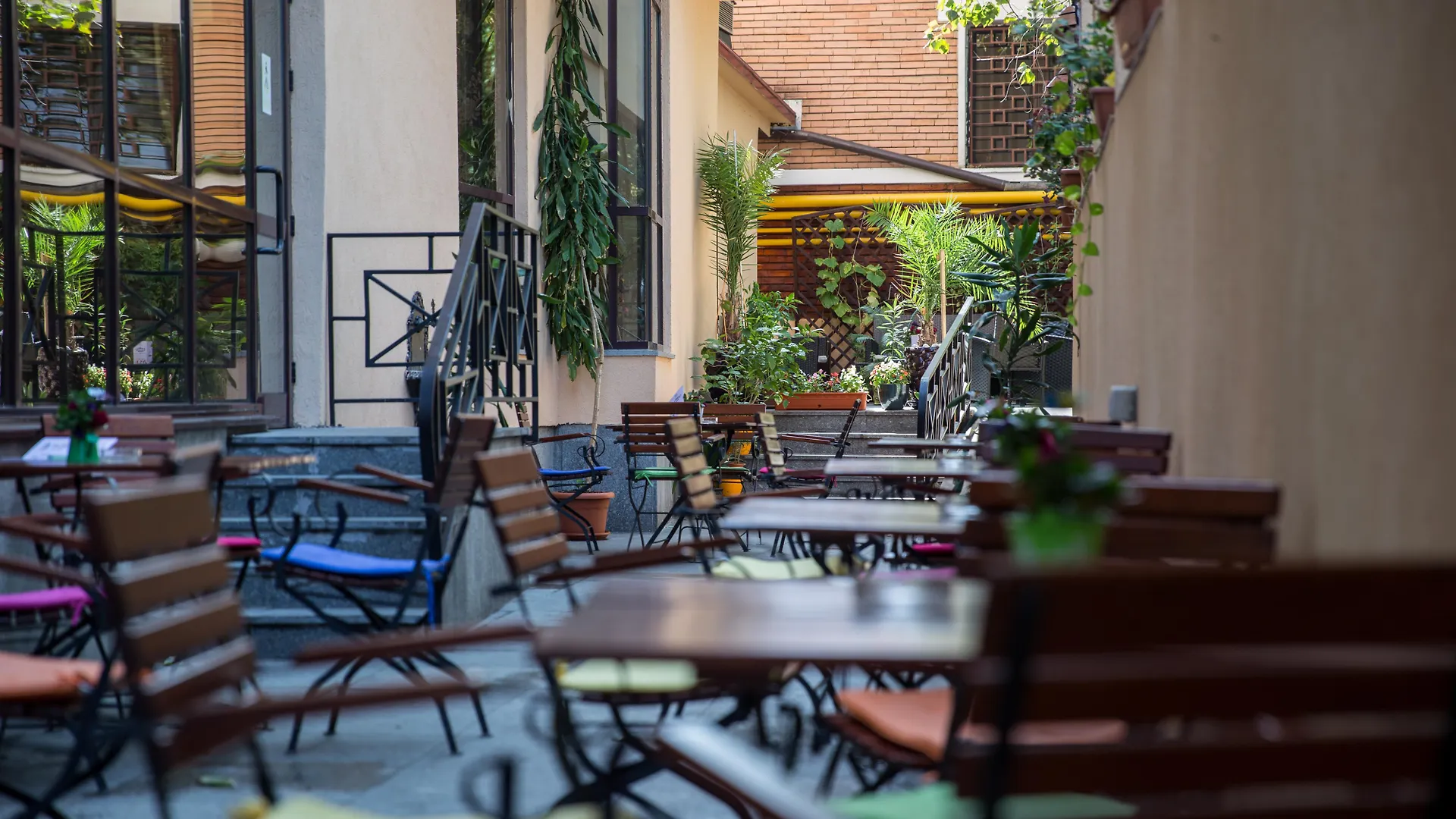 Homestay Casa Siqua Apartment Bucharest